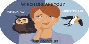 Which One Are You - an Evening Owl or a Morning Lark?