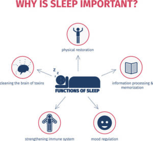 Why is Sleep Important - 5 functions of sleep - Simply Good Sleep