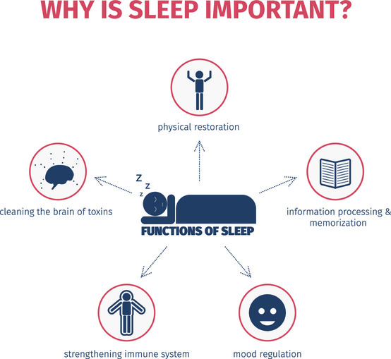 Why-is-Sleep-Important-5-functions-of-sleep-Simply-Good-Sleep | Simply ...