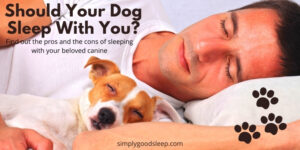 Should Your Dog Sleep with You - Simply Good Sleep