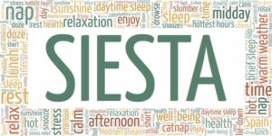 nap or siesta word cloud - in Why Napping is Good for You - by Simply Good Sleep