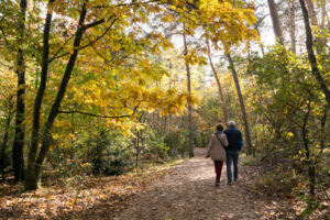 A senior couple on a short nature walk in the forest - in Forest Bathing - A Natural Remedy for Better Sleep - by Simply Good Sleep
